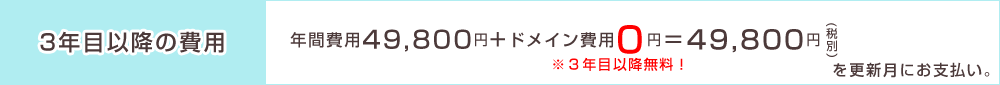 年間費用49,800円+ドメイン費用0円=49,800円税別を更新月にお支払い。